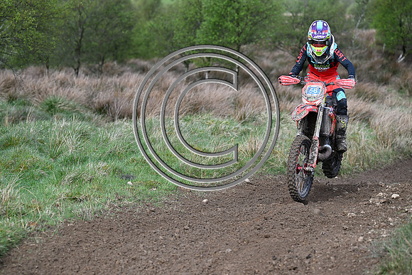 DSC_4362