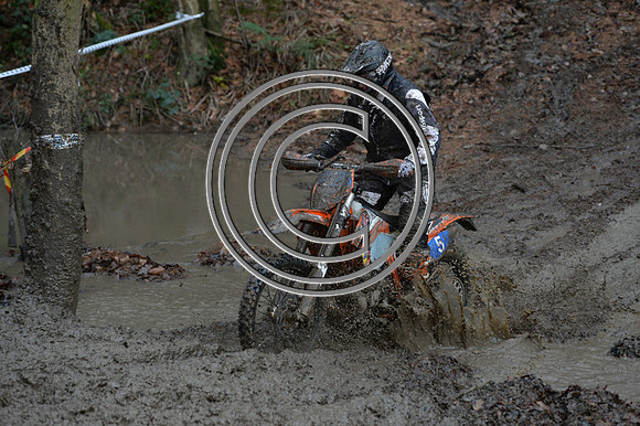 DSC_1353