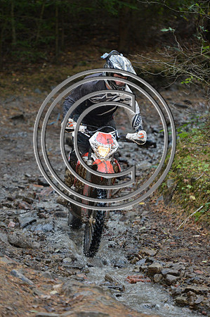 DSC_1202