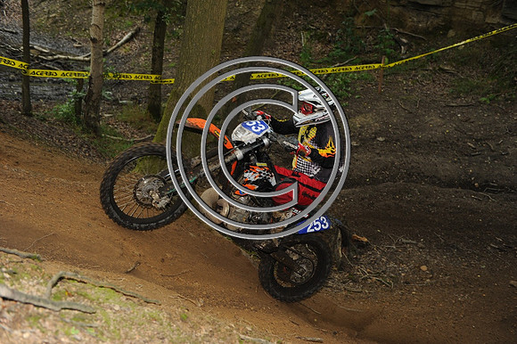 DSC_7175