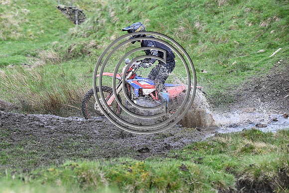 DSC_4511