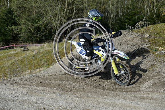 DSC_3381