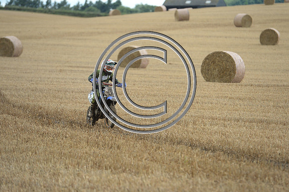 DSC_4387