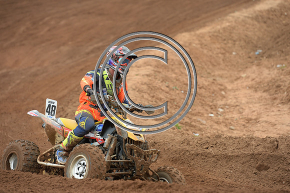 DSC_5204