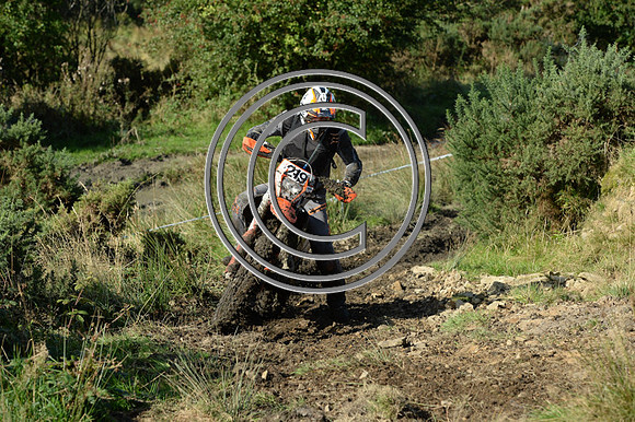 DSC_5635