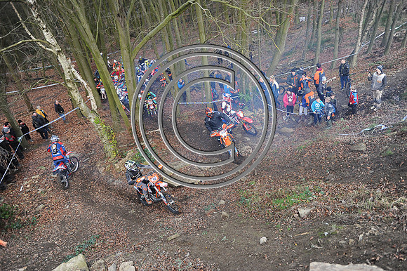 DSC_2400