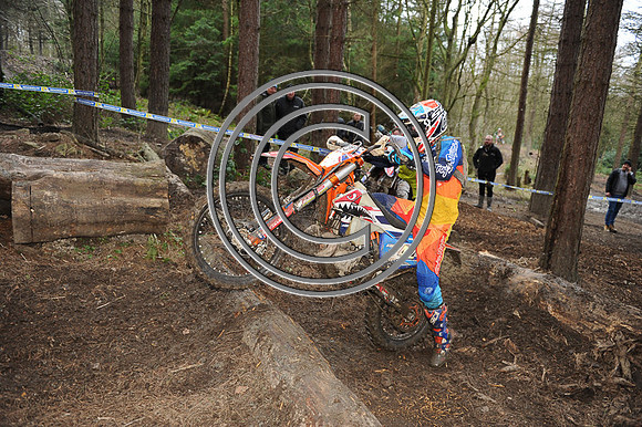 DSC_2598