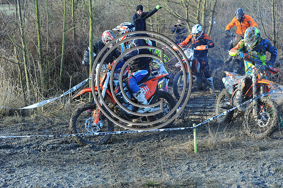 DSC_6022