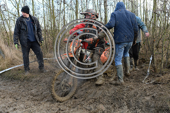 DSC_9941