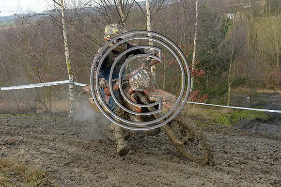 DSC_9984