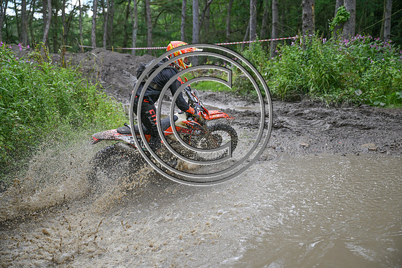 DSC_7981