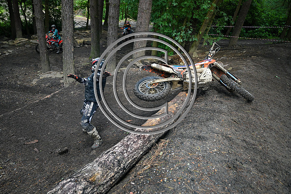 DSC_8556