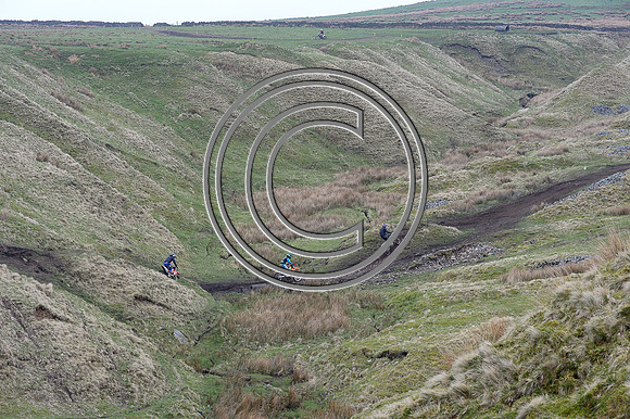 DSC_7906