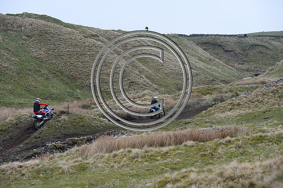 DSC_7927