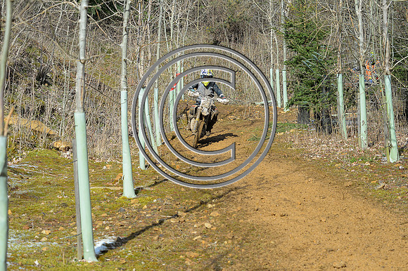 DSC_8280
