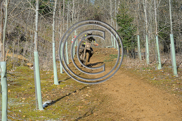 DSC_8290