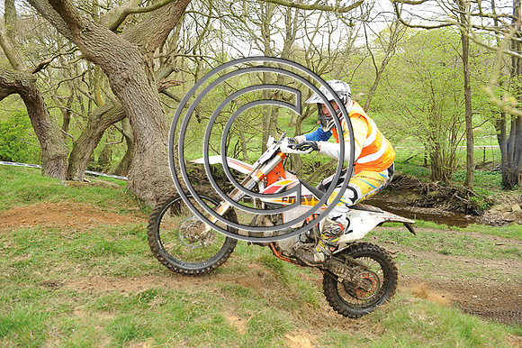 DSC_7773