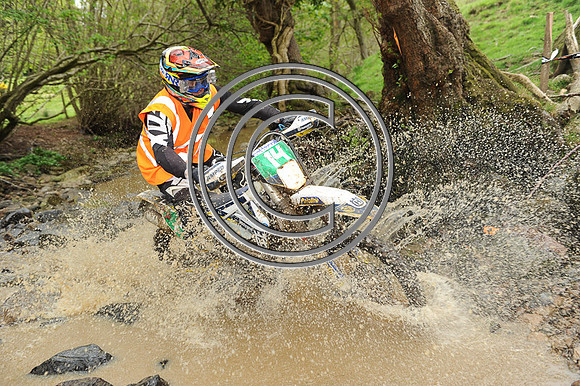 DSC_7979