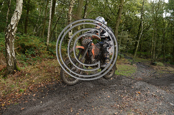 DSC_6113