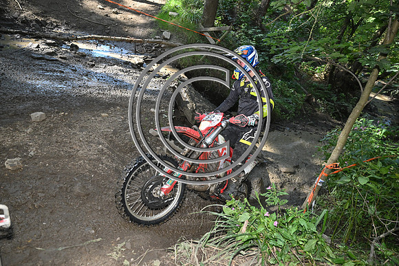 DSC_4955