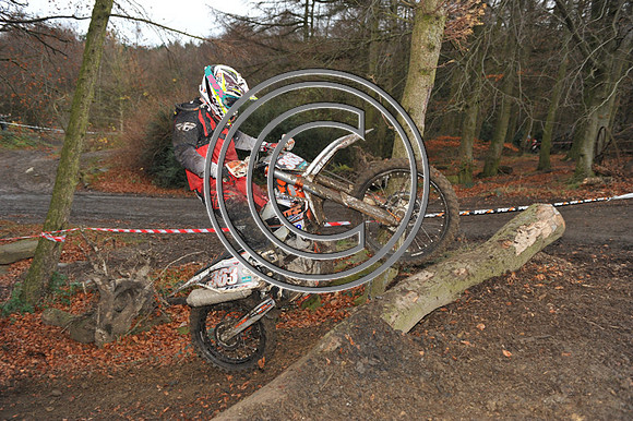 DSC_1626