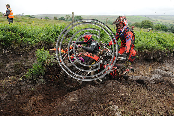 DSC_7871