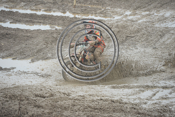 DSC_1434