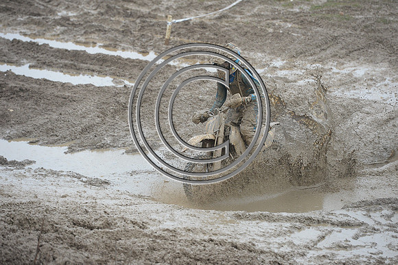 DSC_1437