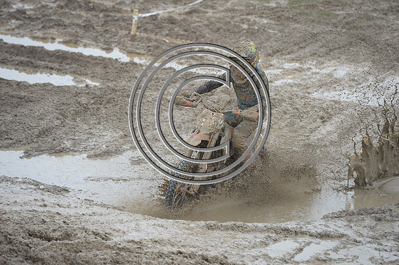 DSC_1441