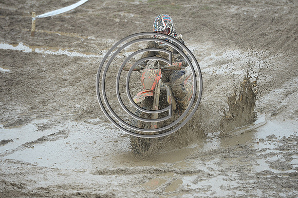 DSC_1446