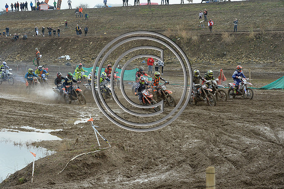 DSC_3205r