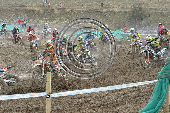 DSC_3209r