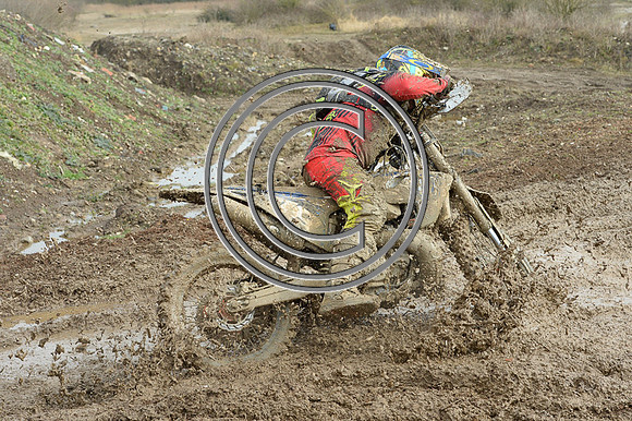 DSC_3411r