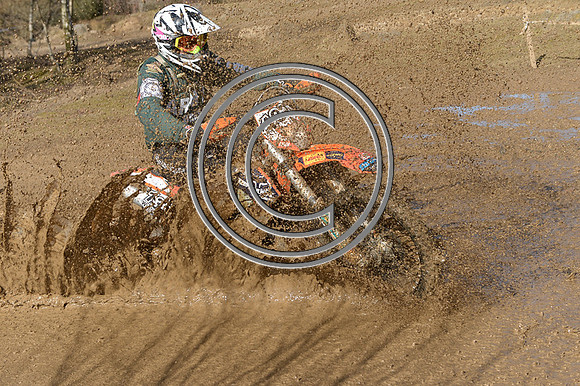 DSC_0649