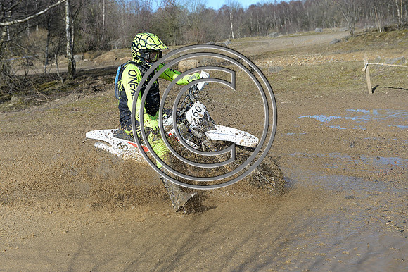 DSC_0687