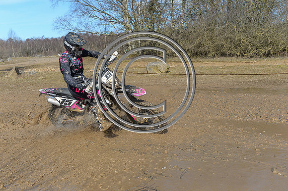 DSC_0743
