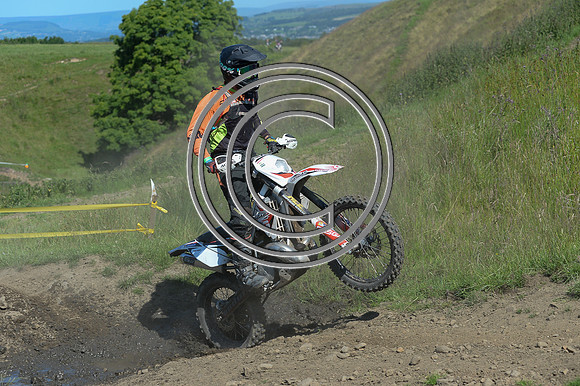 DSC_3153