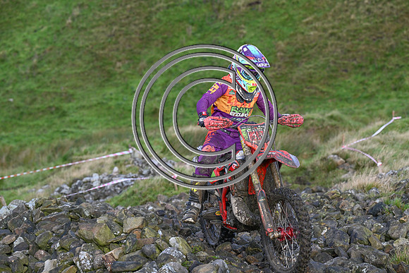 DSC_6176