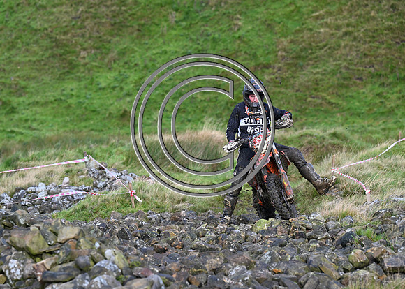 DSC_6194