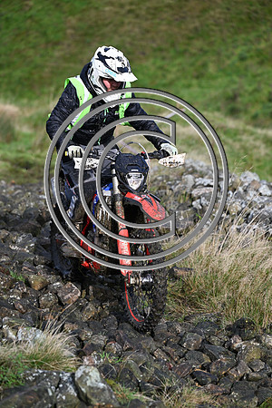 DSC_6207