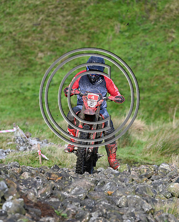 DSC_6264