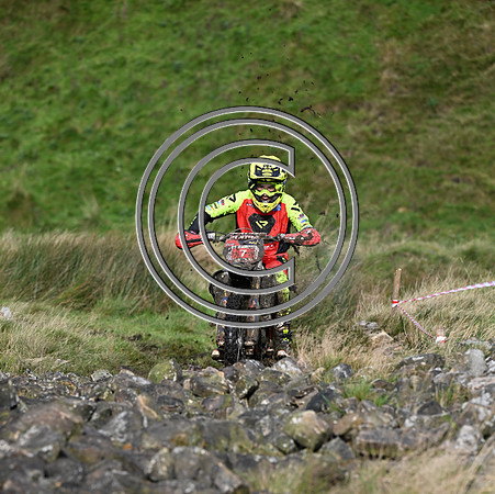 DSC_6271