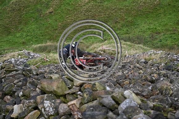 DSC_6302