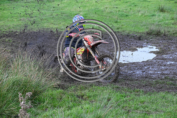 DSC_6480