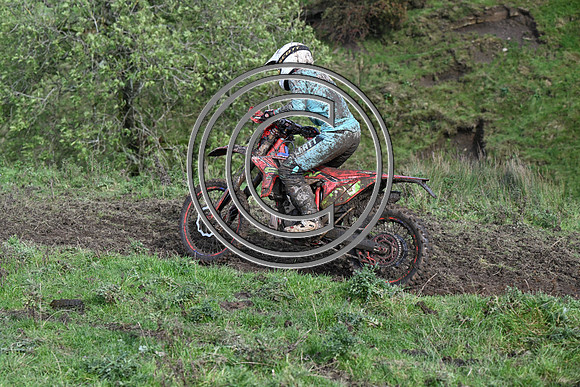 DSC_6499