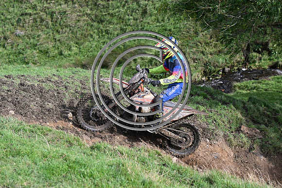 DSC_6502