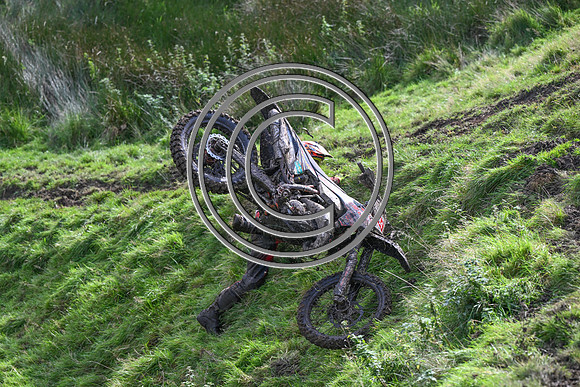DSC_6544