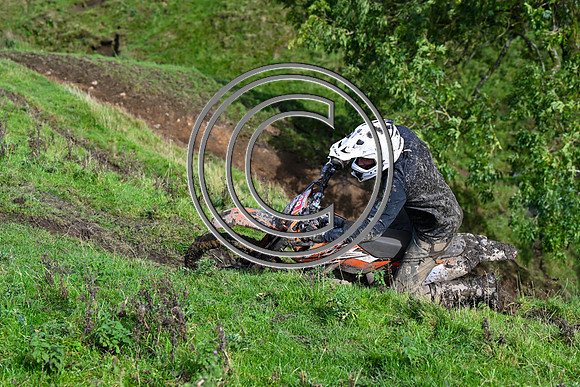 DSC_6564