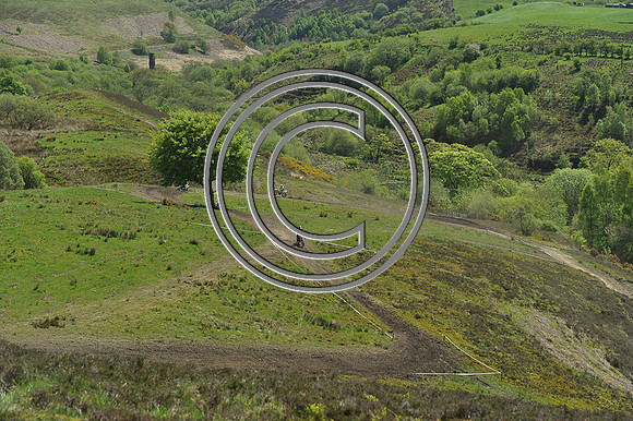 DSC_7026
