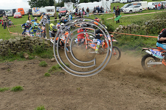 DSC_0379